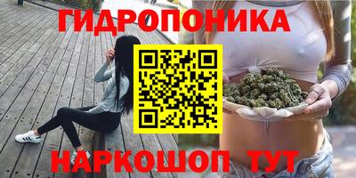 ECSTASY Гусиноозёрск